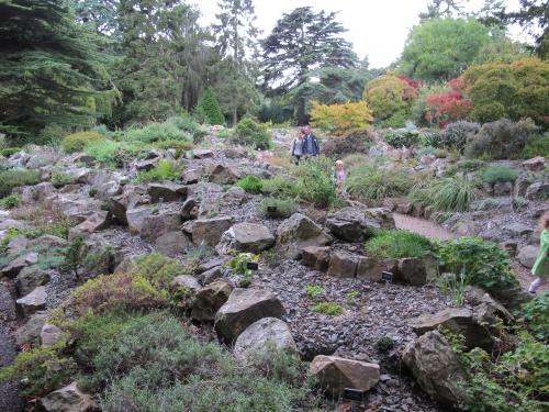 сад камней в ботаническом саду Дублина